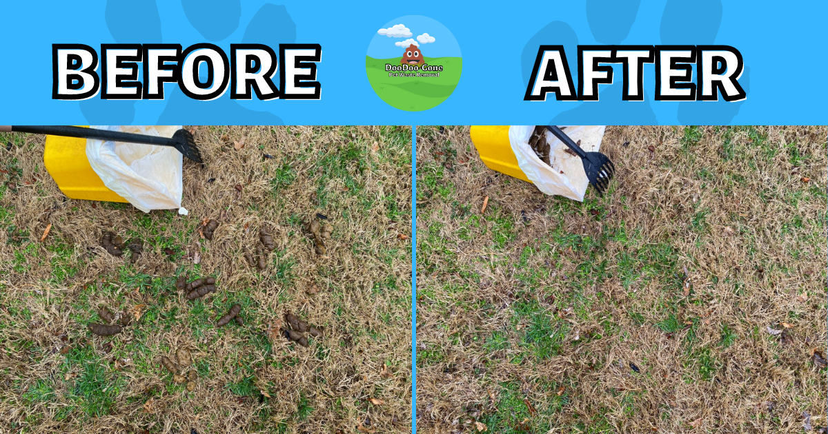 DooDoo-Gone Pet Waste Removal
