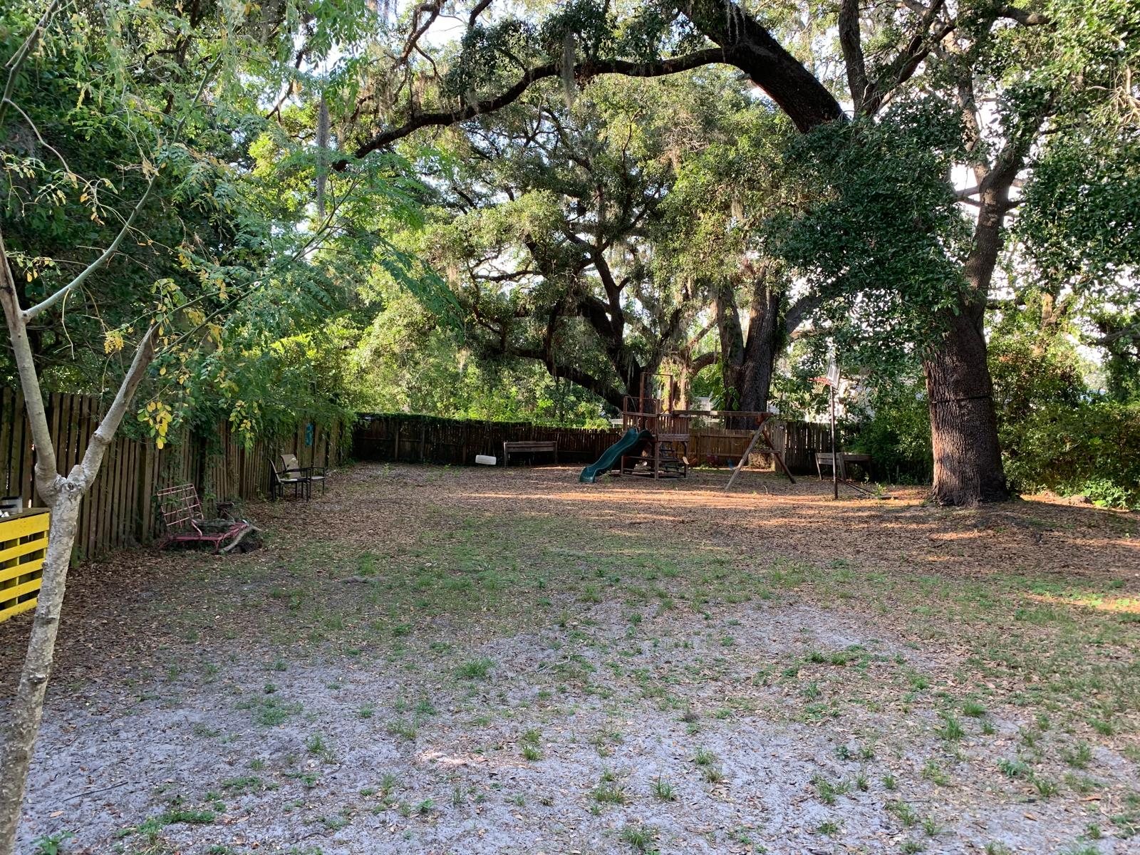 Scoop Moop - Photo 4