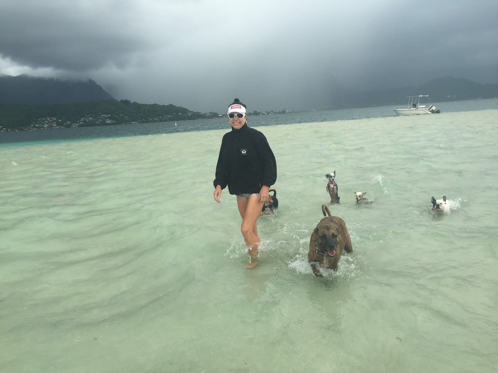 Got Poo...? Pet Waste Removal & Pet Services - Photo 2