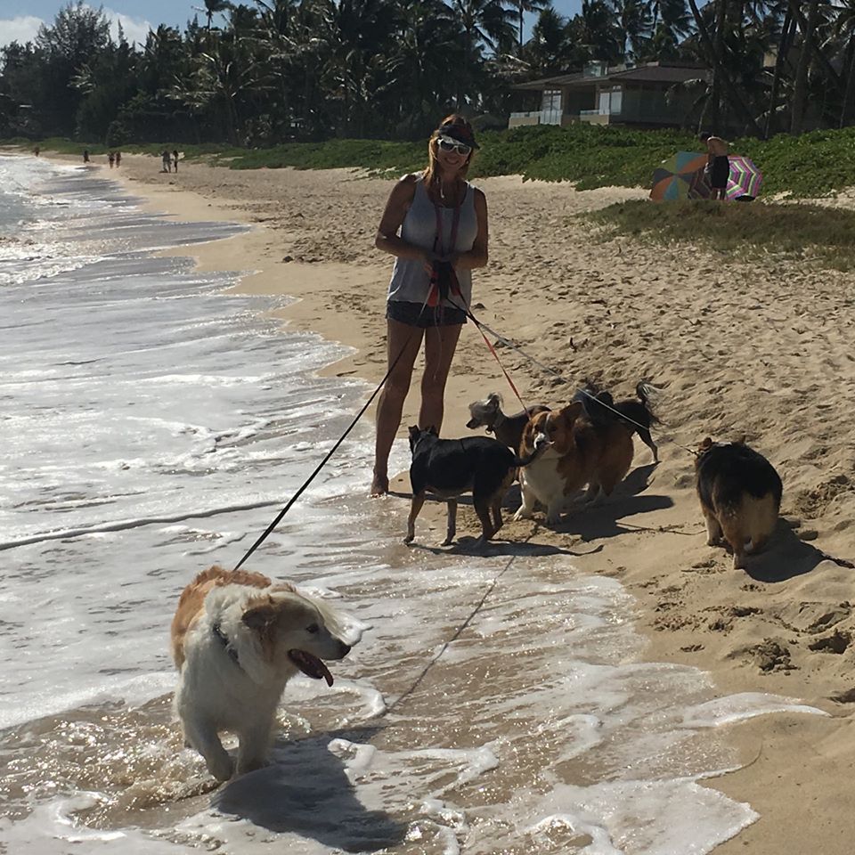 Got Poo...? Pet Waste Removal & Pet Services - Photo 3