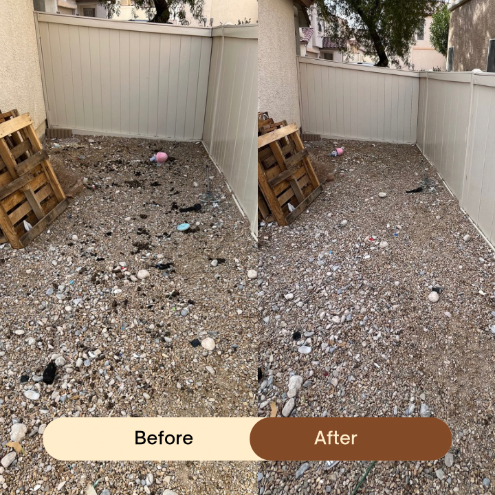 We Scoop 4 You - Photo 3