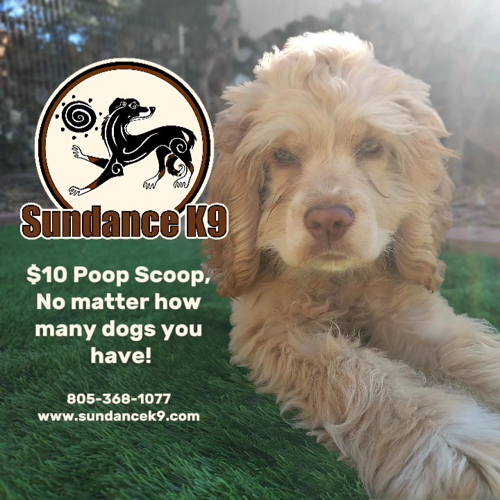 Sundance K9 Waste Removal