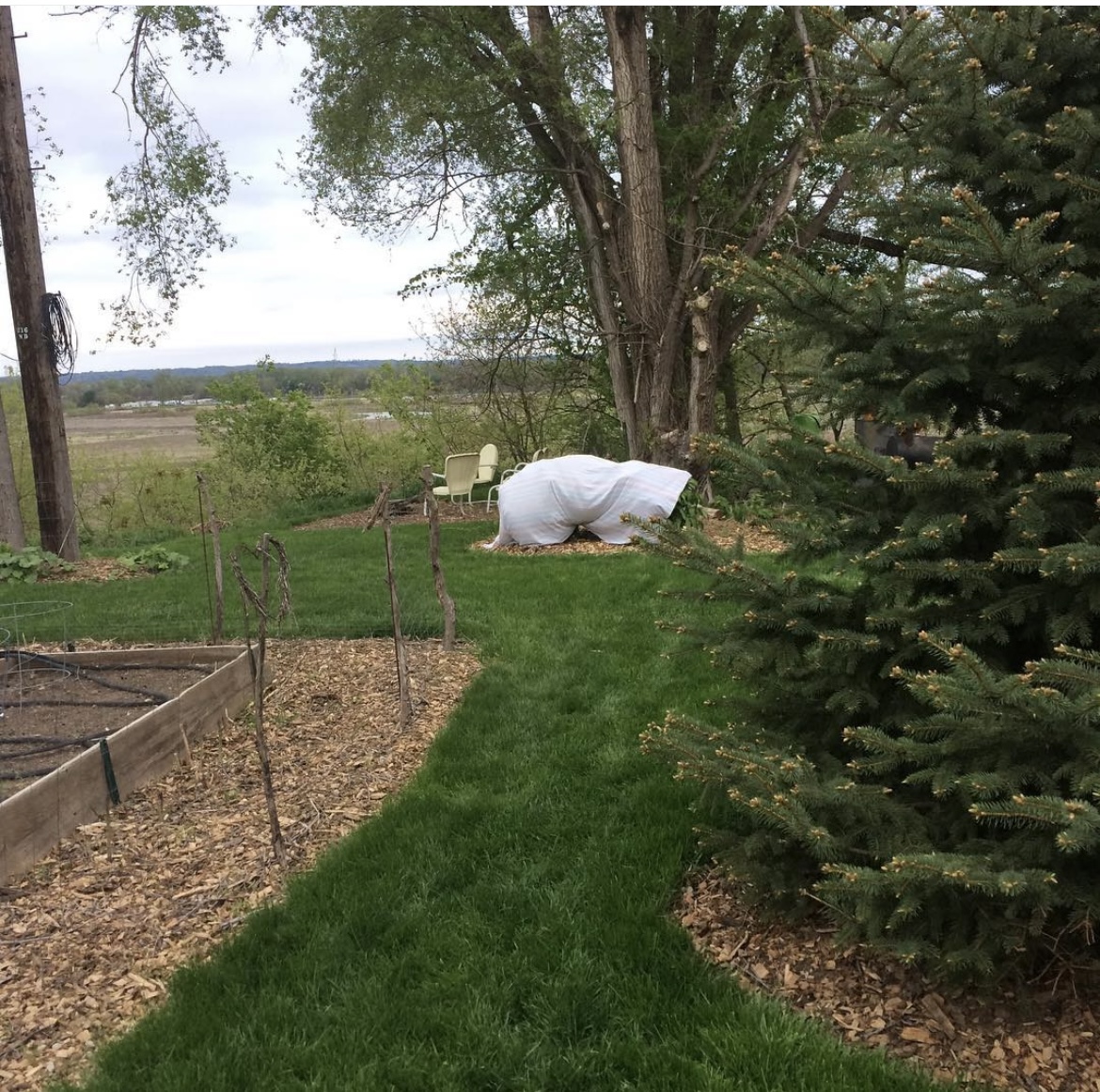 Sundance K9 Waste Removal - Photo 3