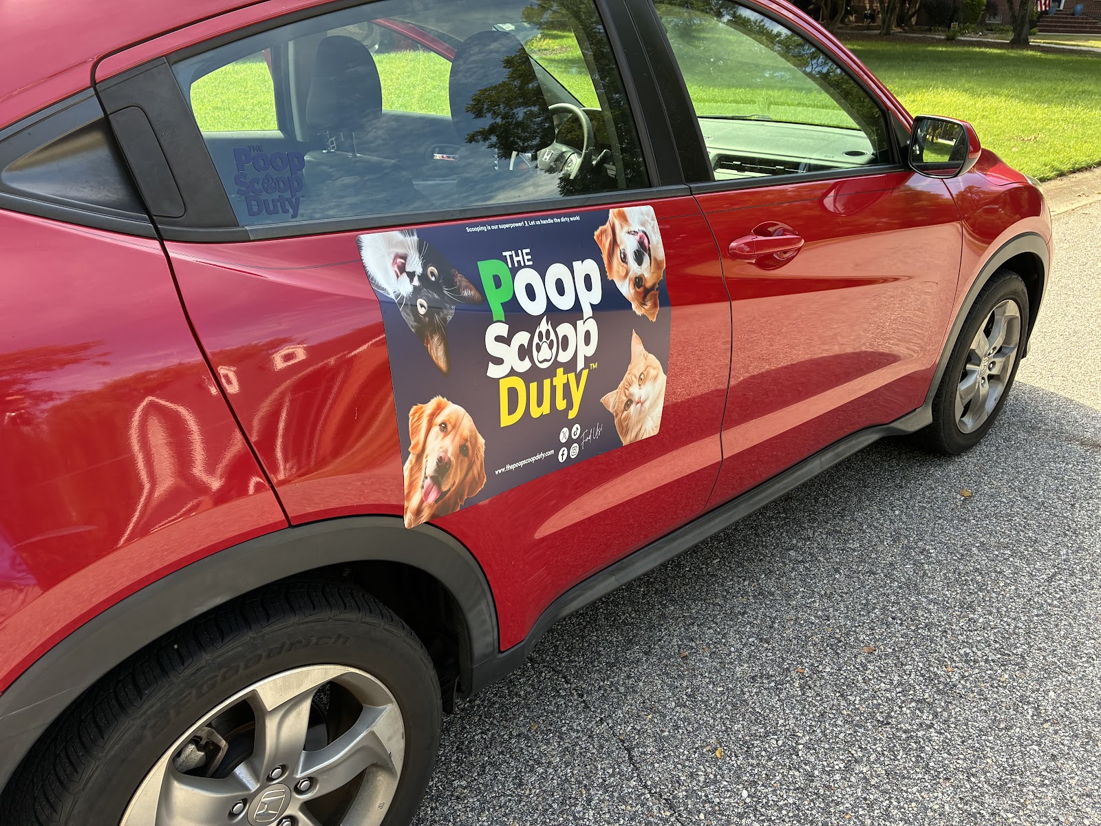 The Poop Scoop Duty - Photo 3