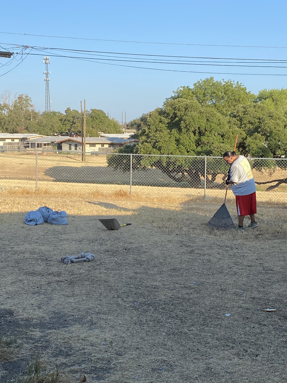 Doggie Mine Sweepers