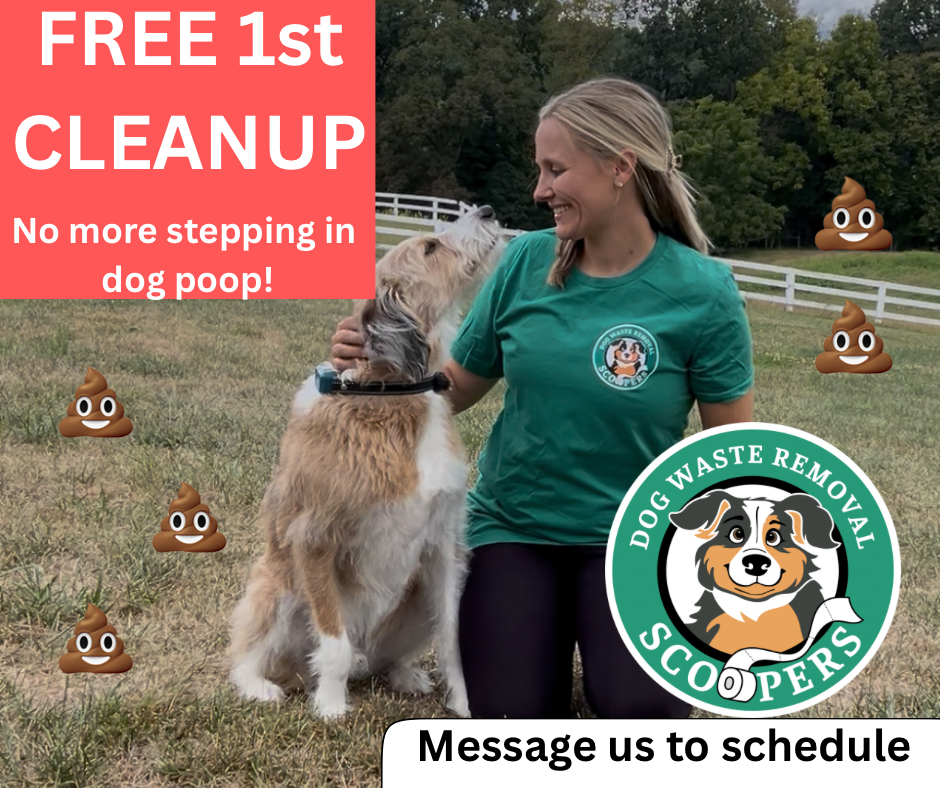 Scoopers Dog Waste Removal