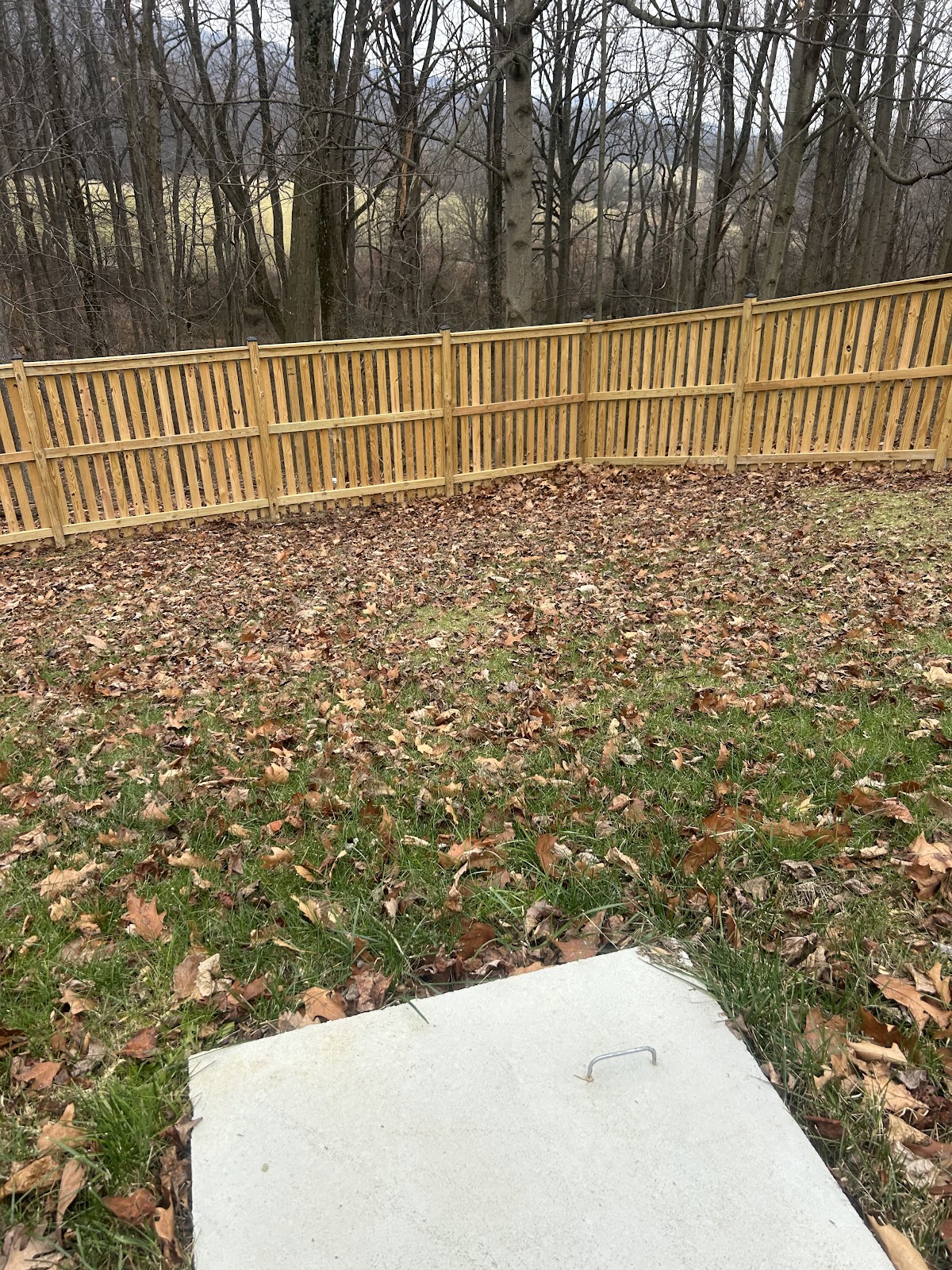 Scoopers Dog Waste Removal - Photo 3