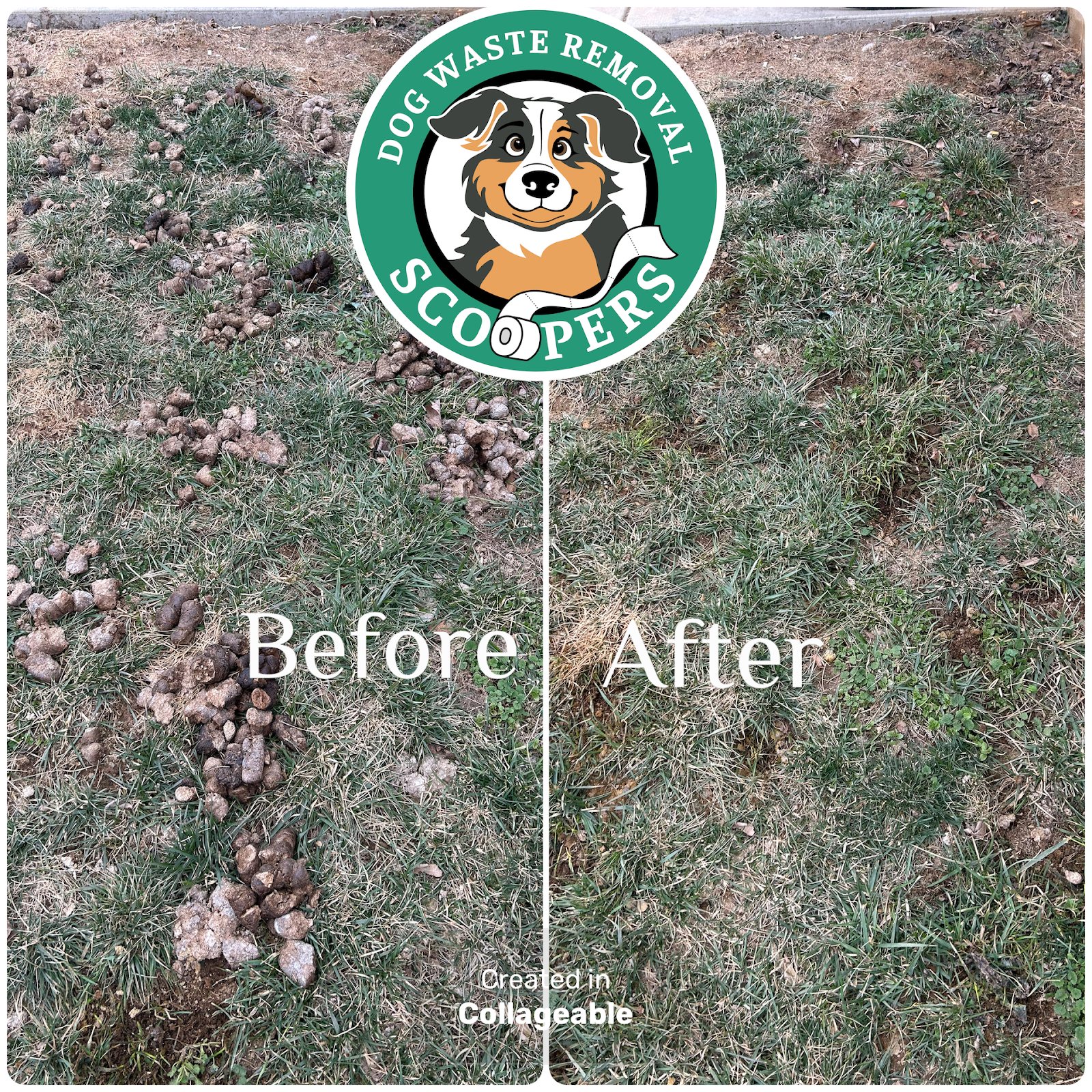 Scoopers Dog Waste Removal - Photo 4