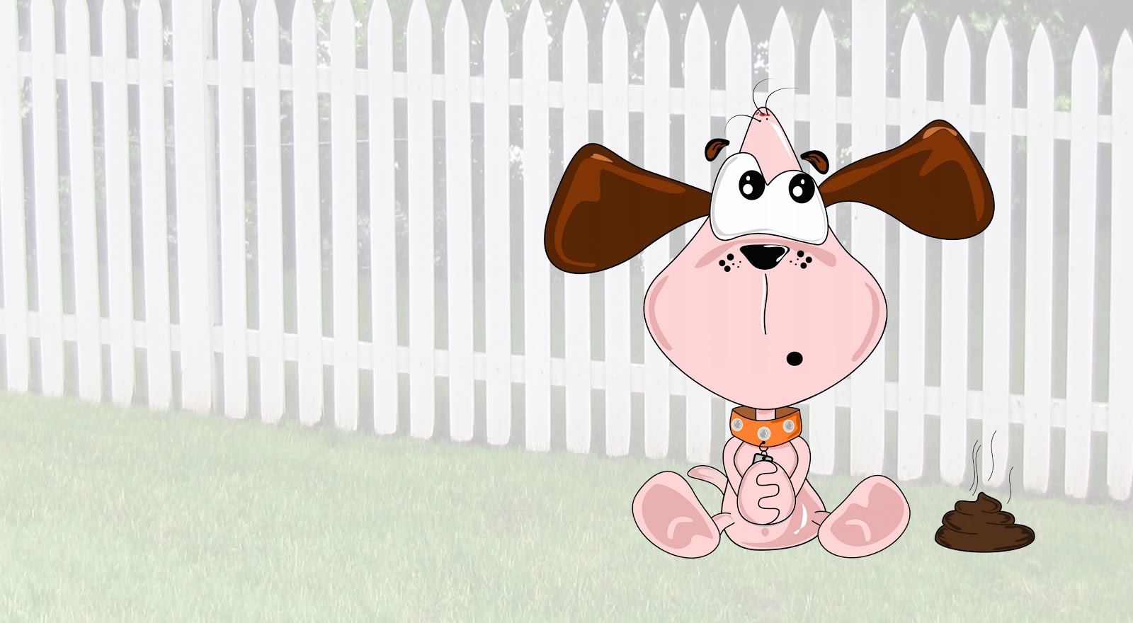 Scoopy Doo Pet Poo Removal - Photo 3