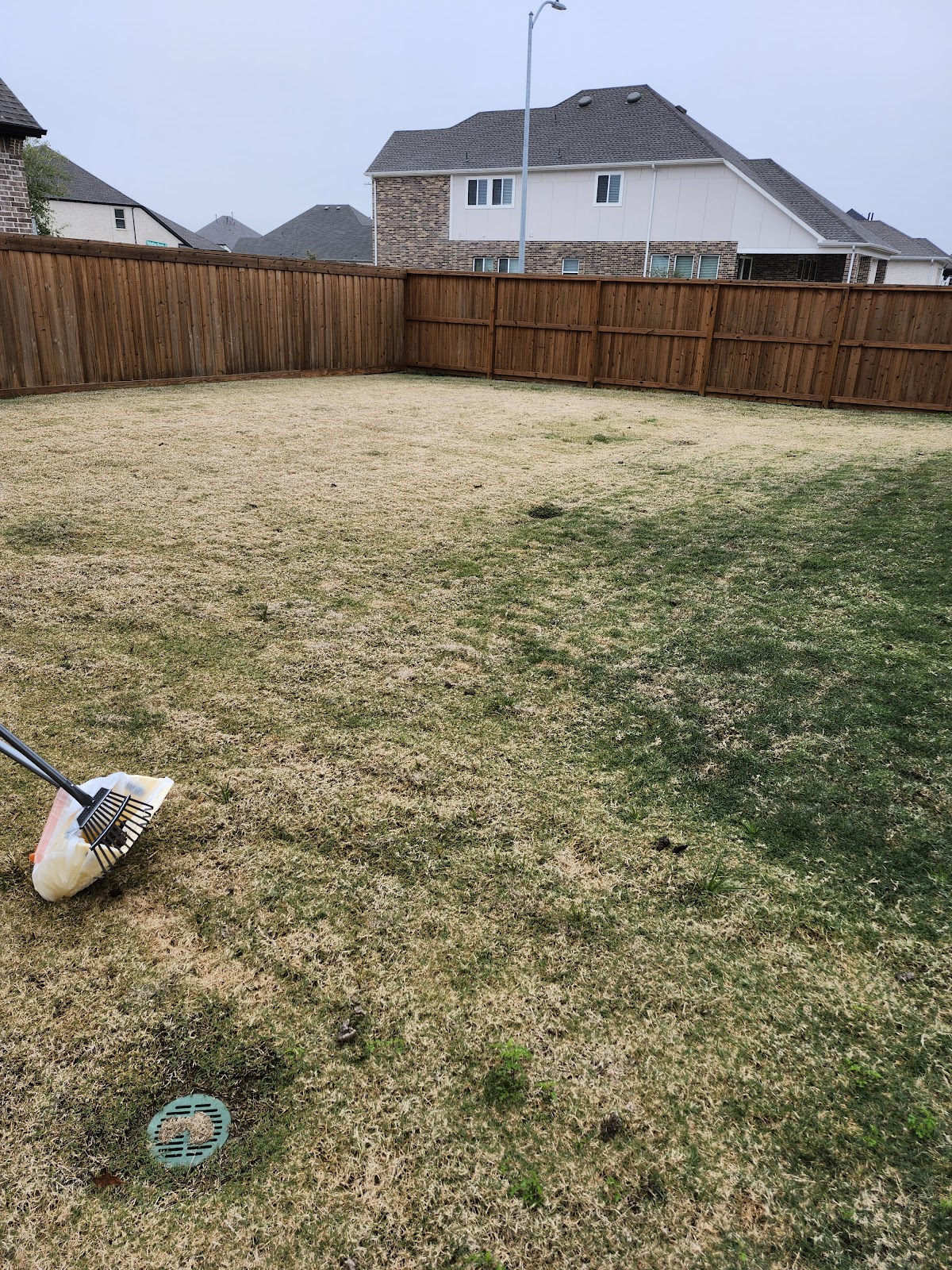 Scoop King Pet Waste Removal