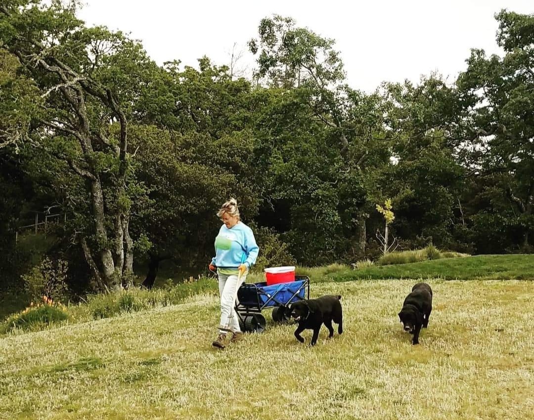 Hill Country Poop Patrol - Photo 2