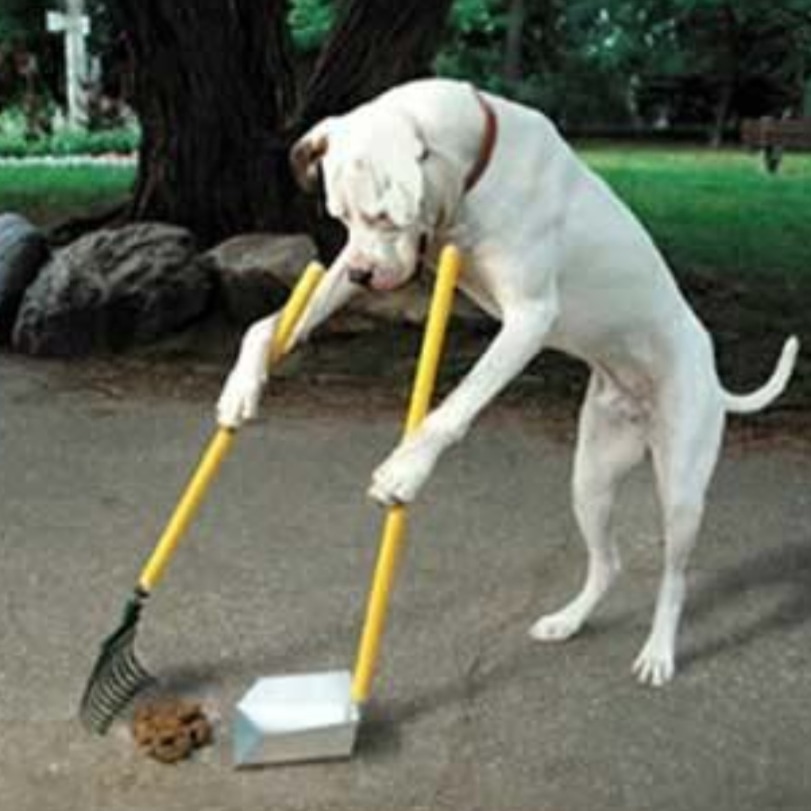 Hill Country Poop Patrol - Photo 4