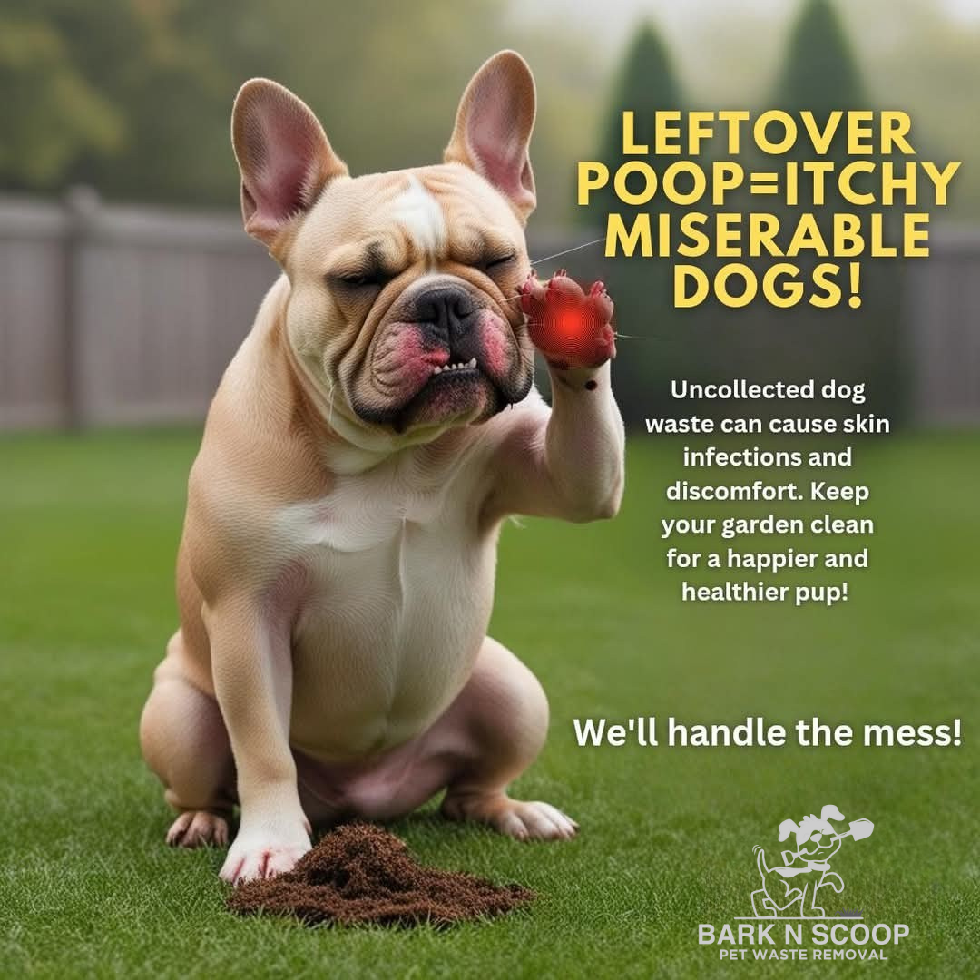 Bark N Scoop - Photo 3