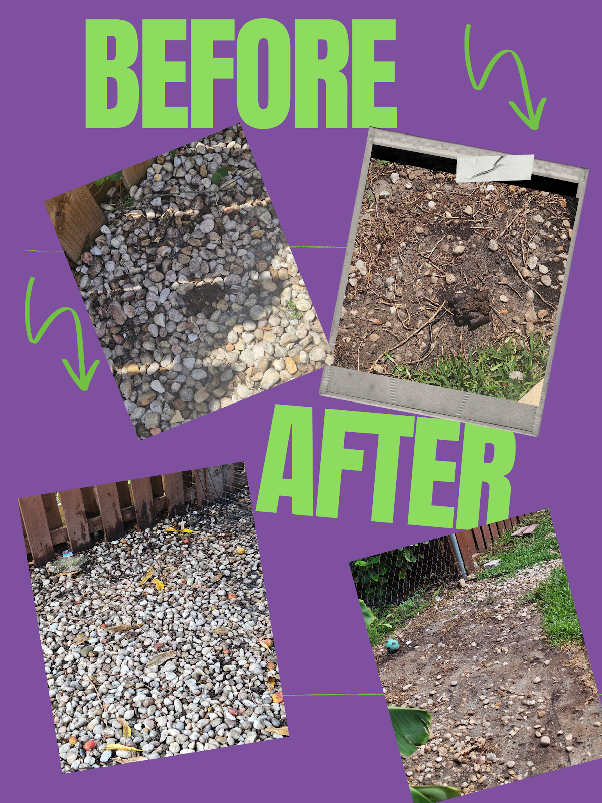 Bark N Scoop - Photo 4