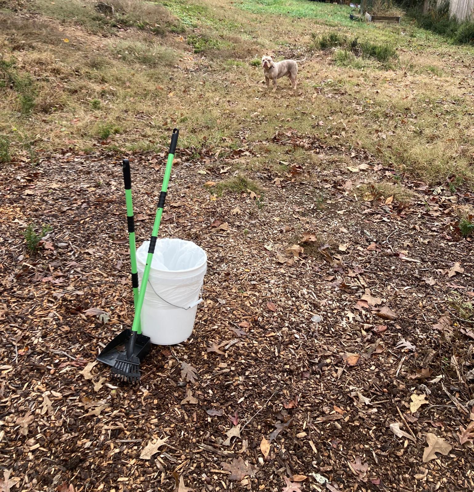 Captain Scoop A Poop - Photo 4