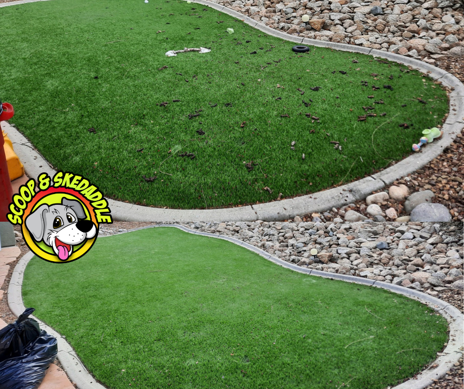 Scoop & Skedaddle - Photo 3