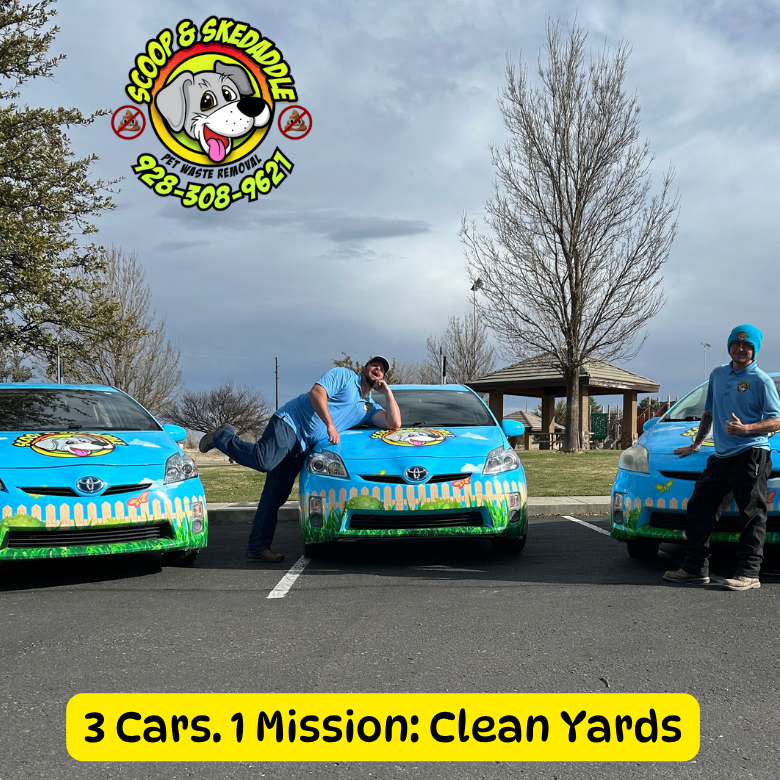 Scoop & Skedaddle - Photo 4