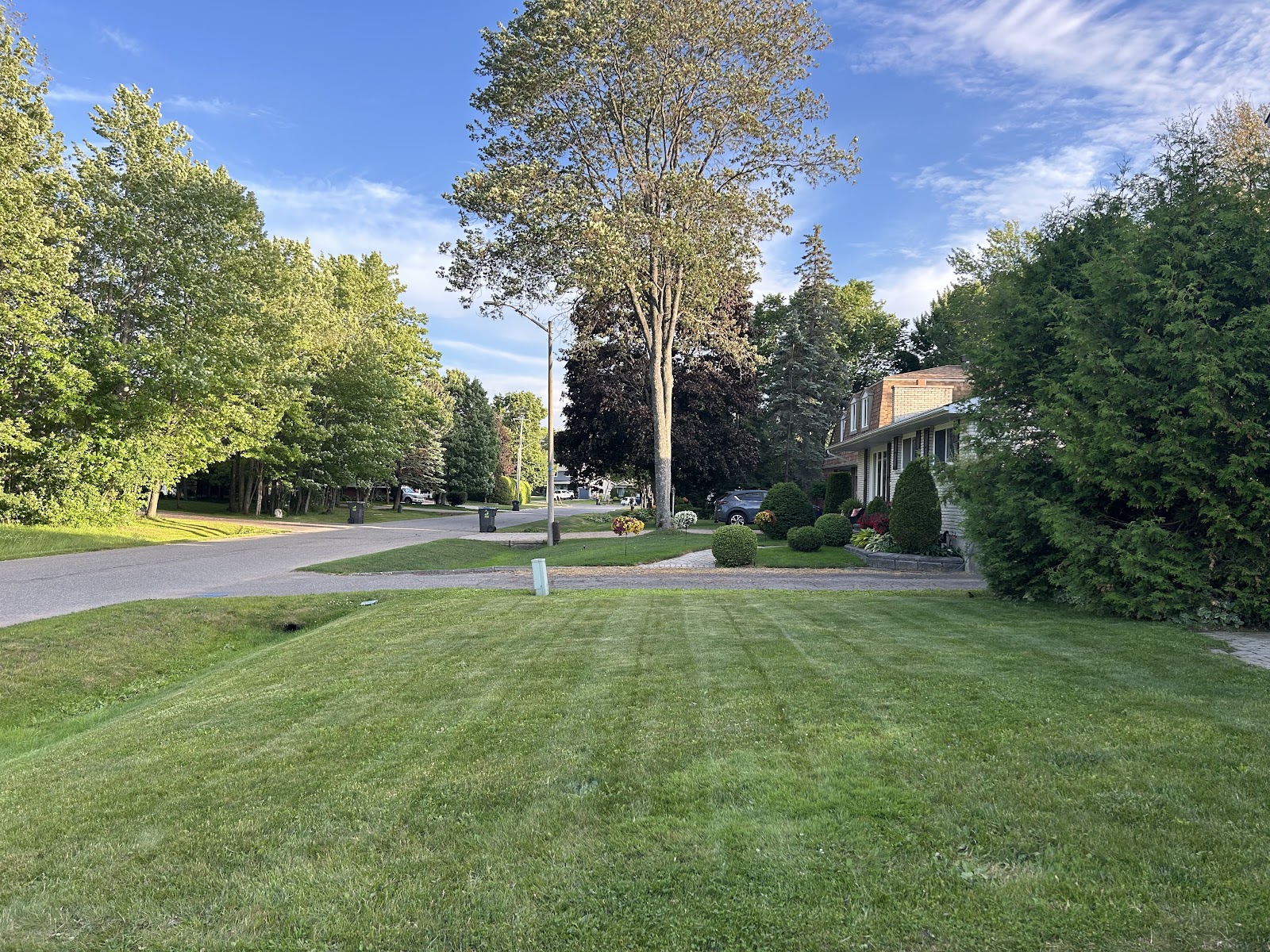 Scoop 'N' Go - Photo 2