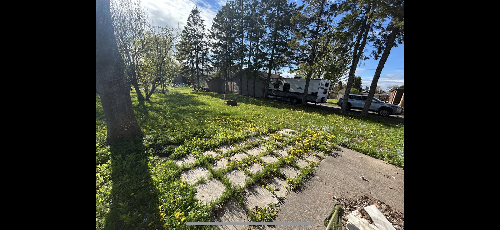 Scoop 'N' Go - Photo 4