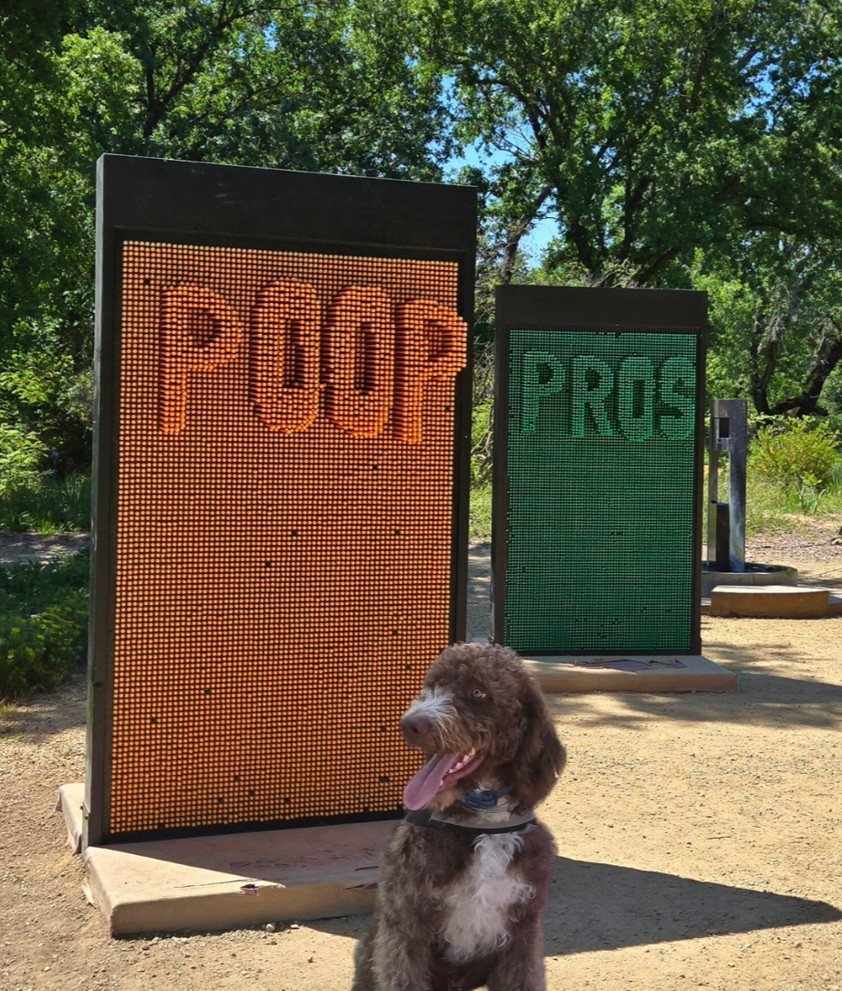 Poop Pros - Photo 2