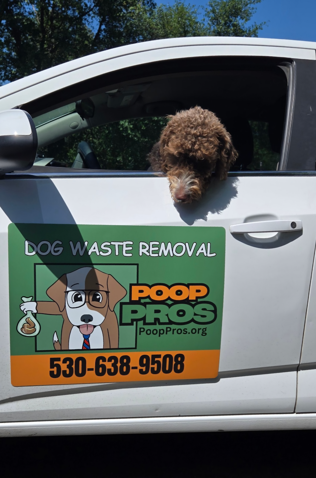 Poop Pros - Photo 3