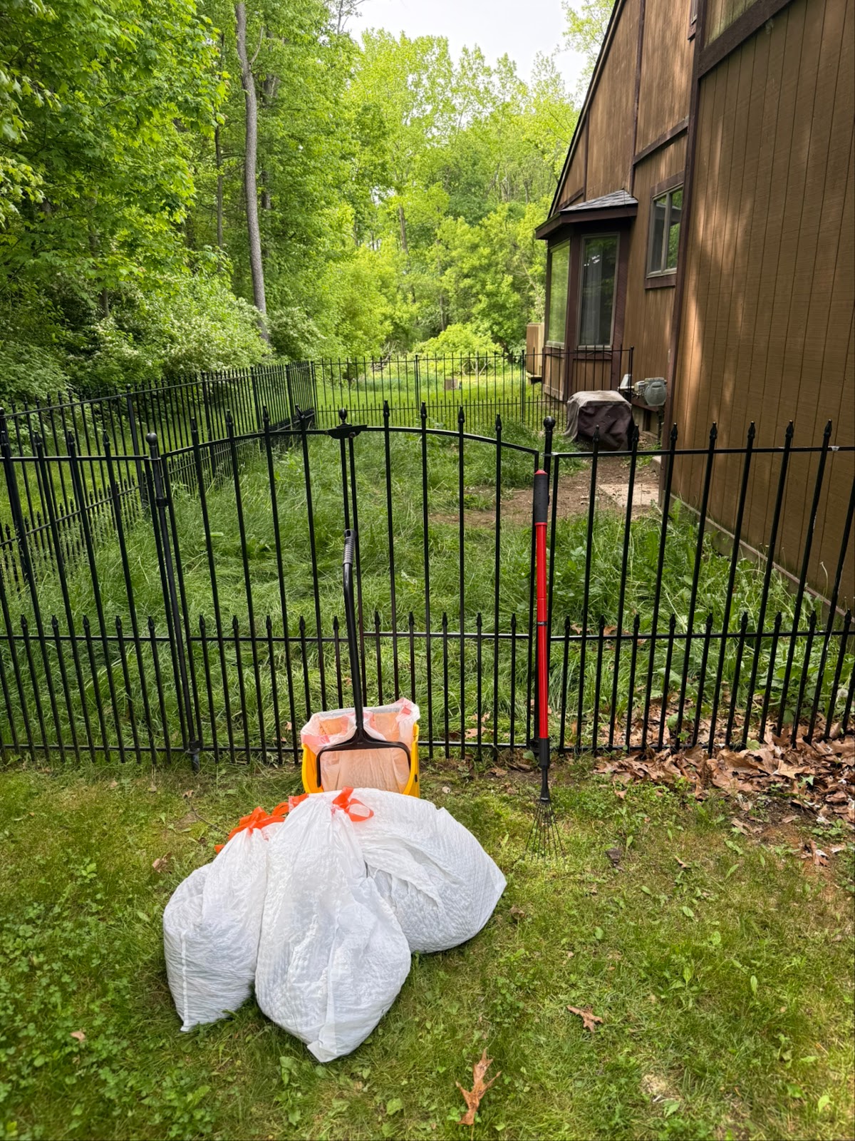 No Poop To Scoop - Pet Waste Removal - Photo 4