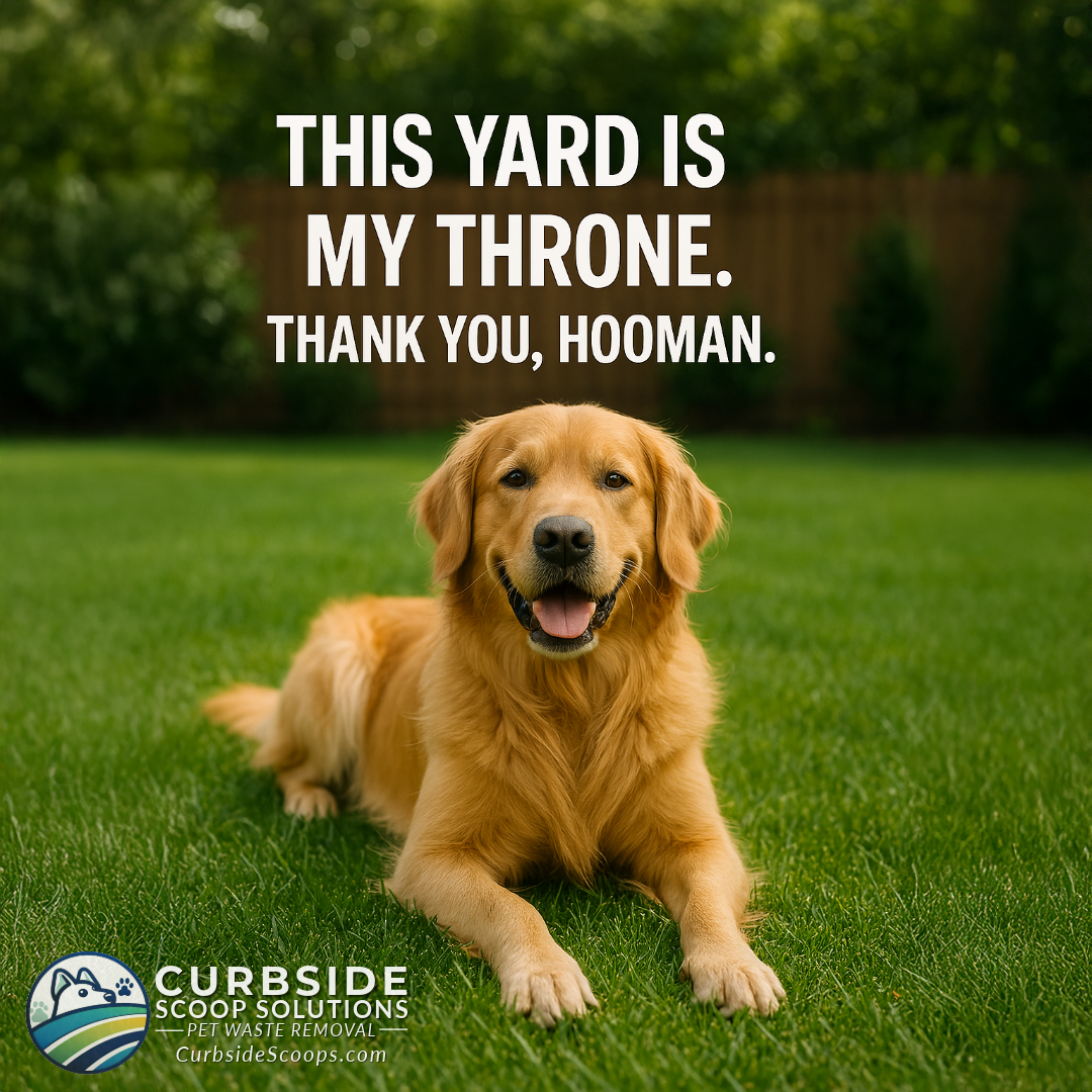 Curbside Scoop Solutions Pet Waste Removal