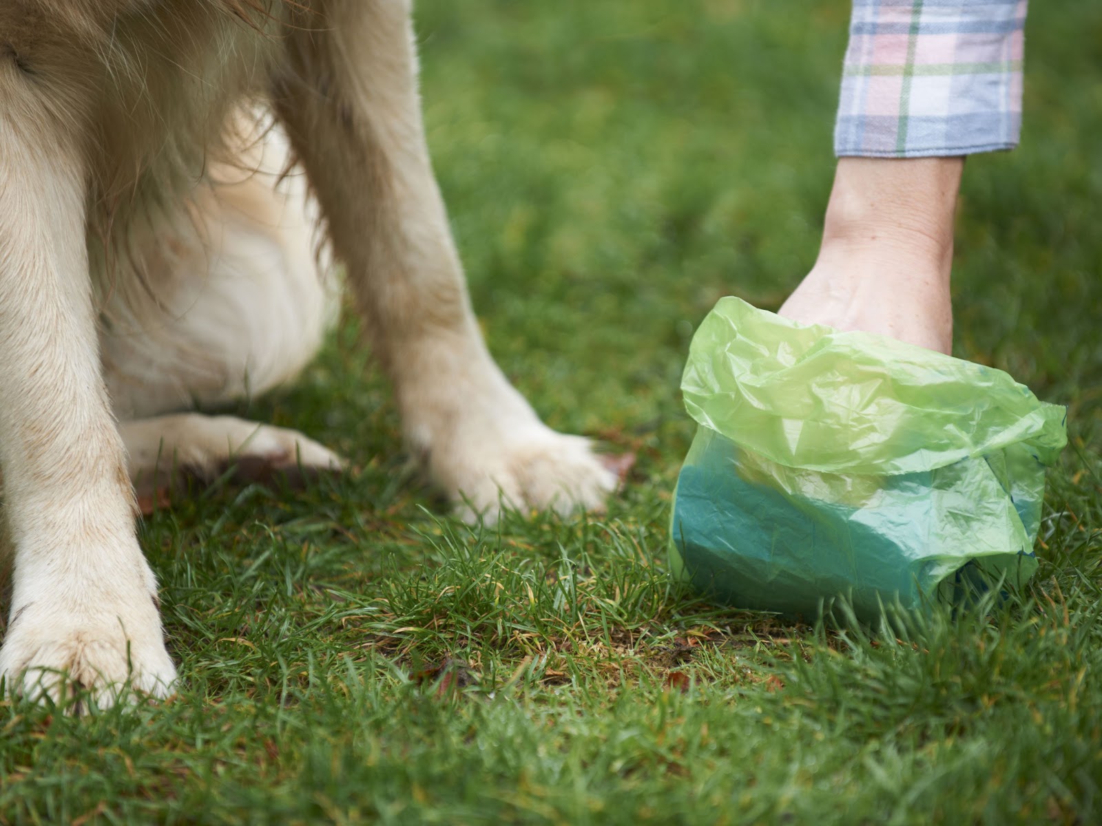Scooperz: Pet Waste Removal