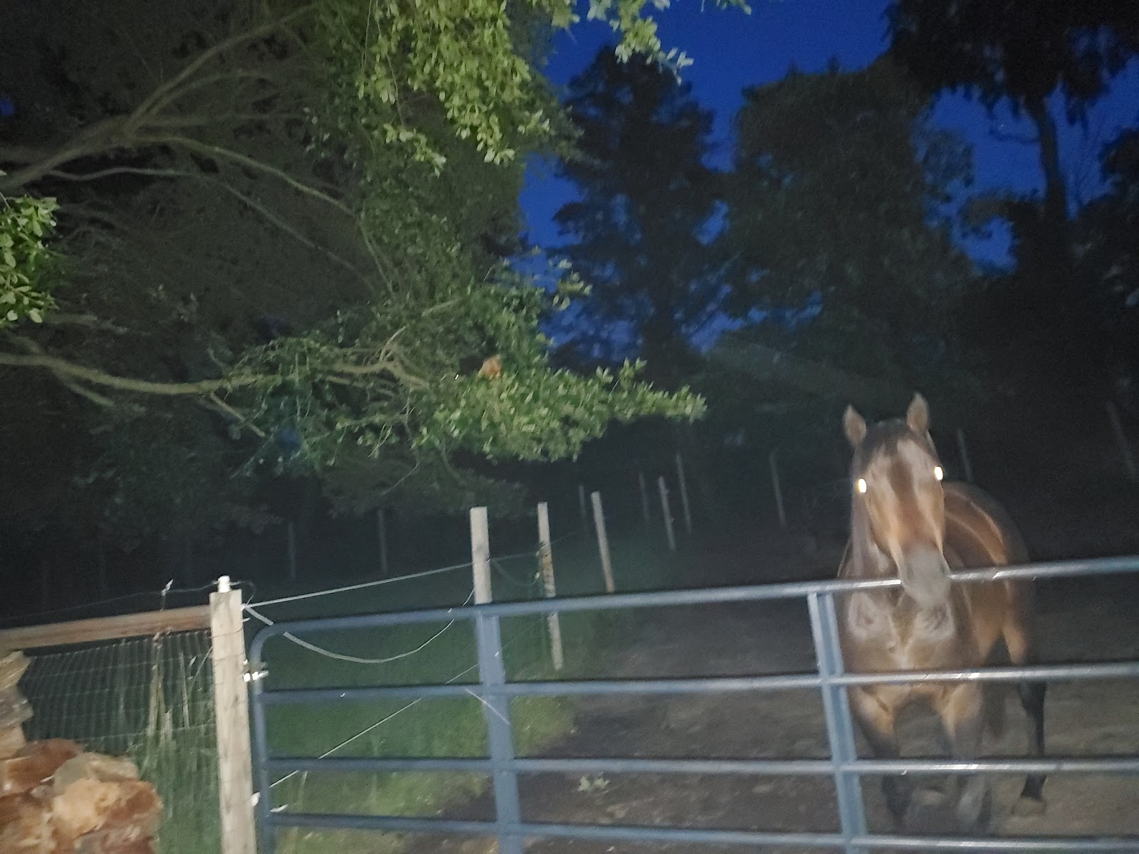 Scooppoop609 - Photo 3