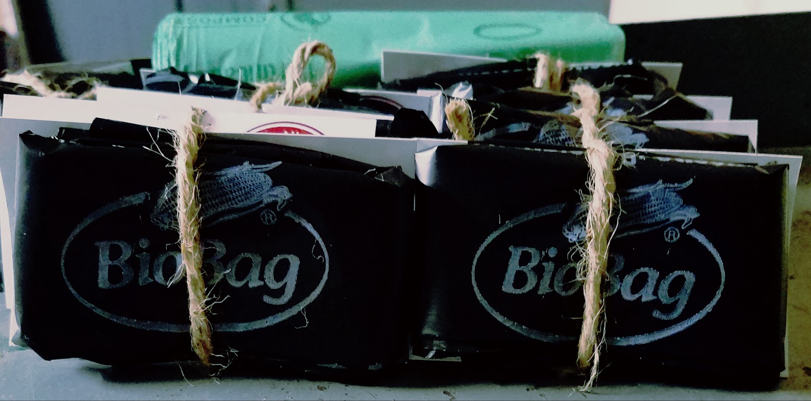 Green Dog Limited - Photo 3