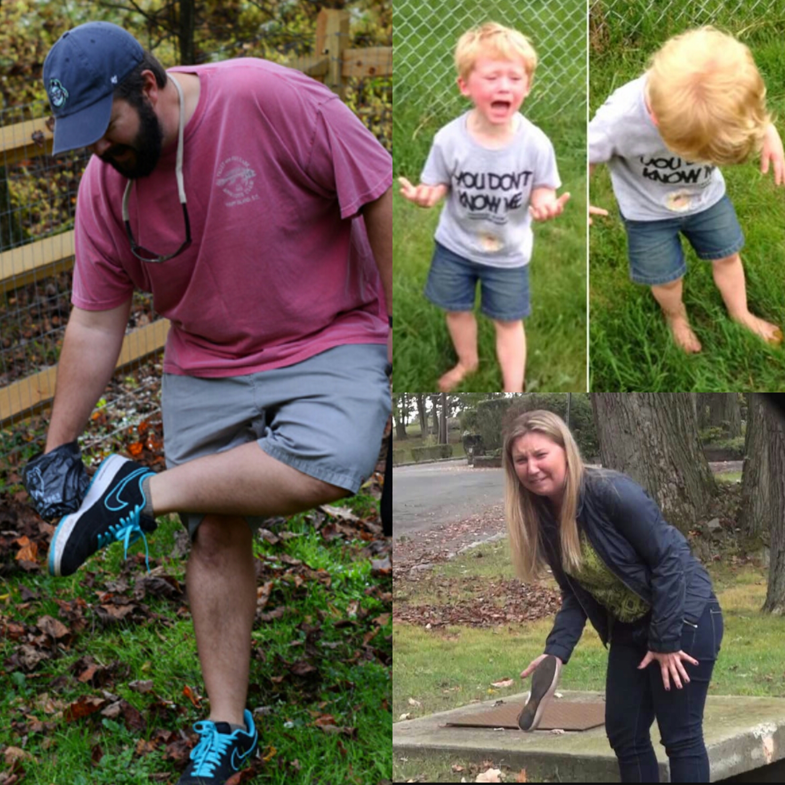 Green Dog Limited - Photo 4