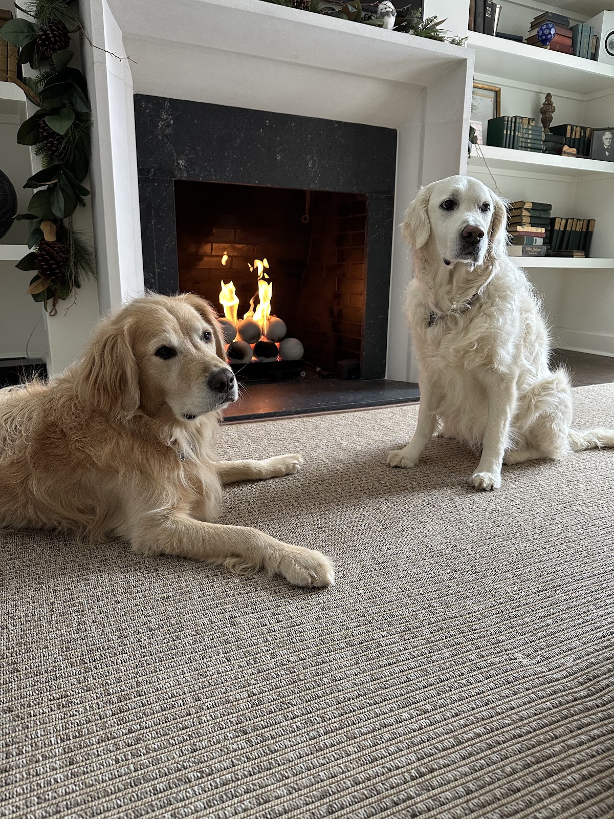 POOP 911 Franklin - Photo 2