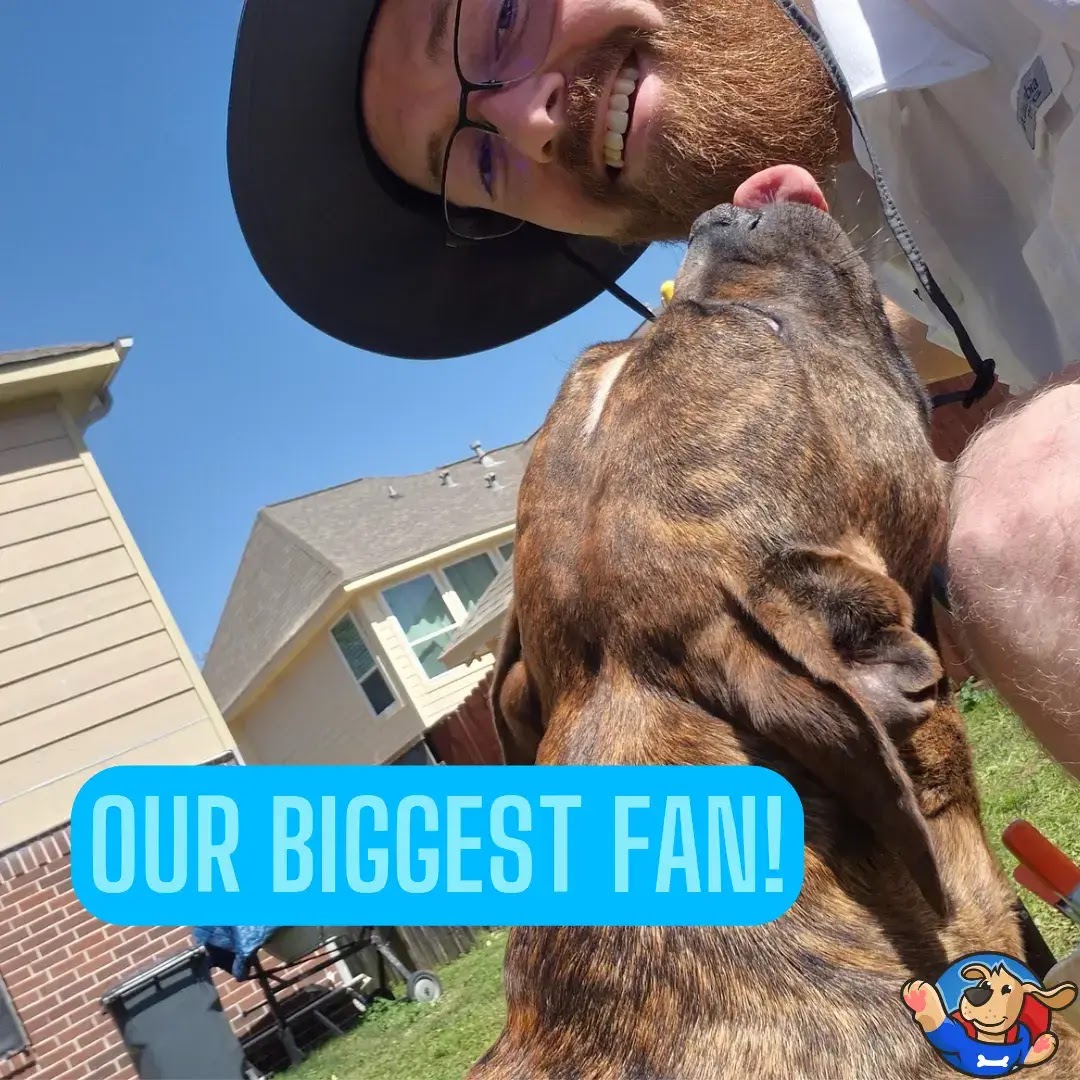 Pet Waste Pros - Photo 2