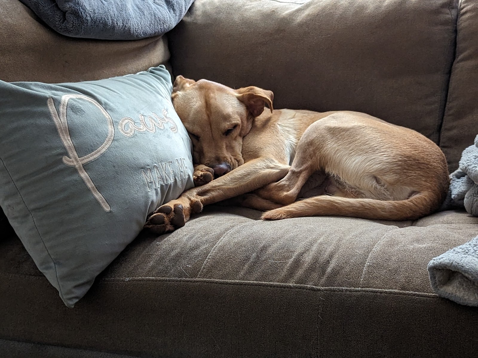 Blue Ridge Scoopers - Photo 2