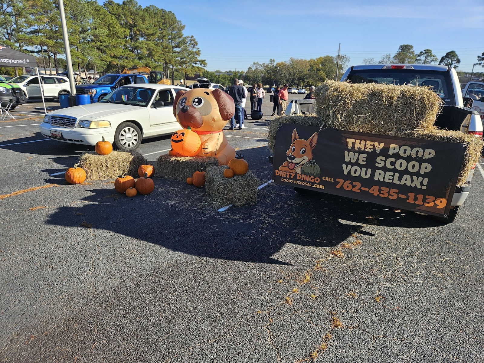 Dirty Dingo Doody Disposal