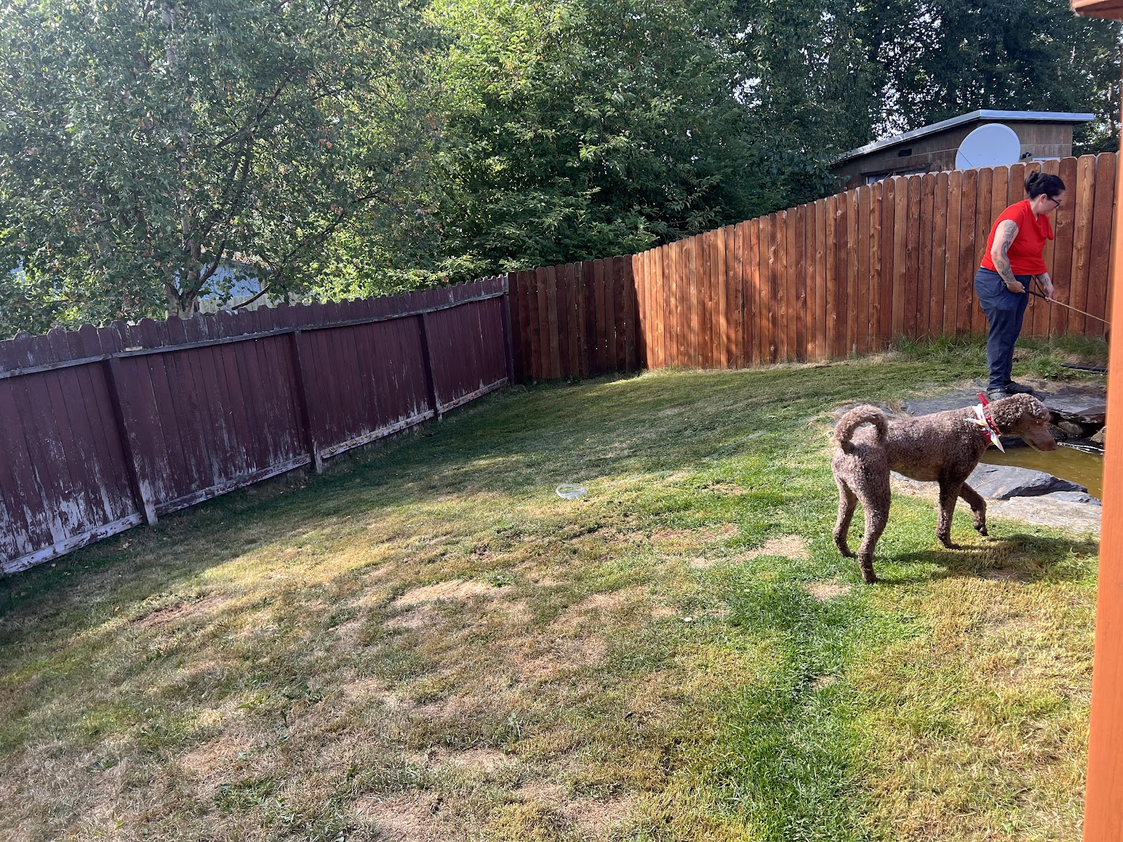 Alaska Pet & Yard Services, LLC