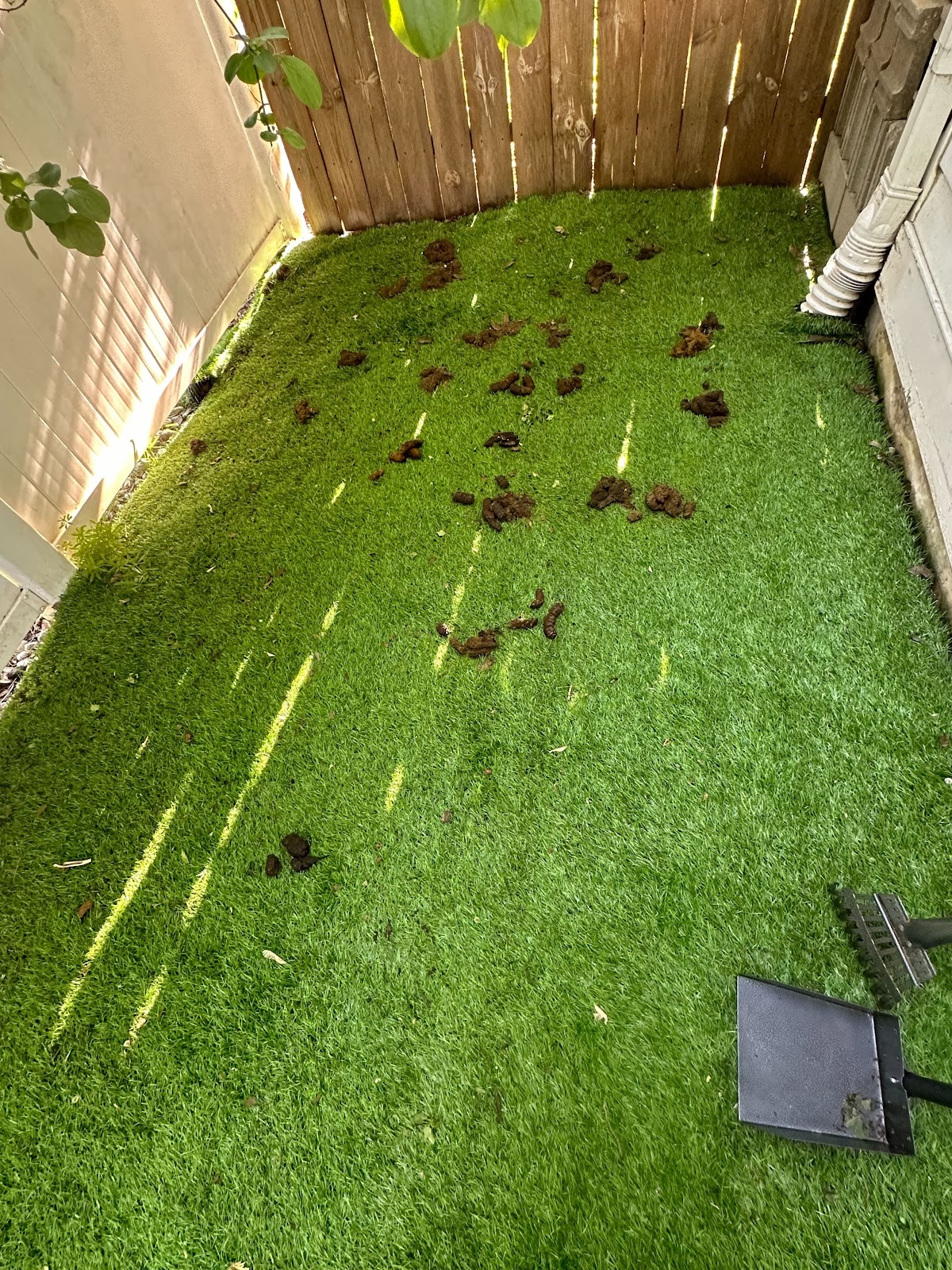 Dog Poop Eliminators LLC - Photo 3