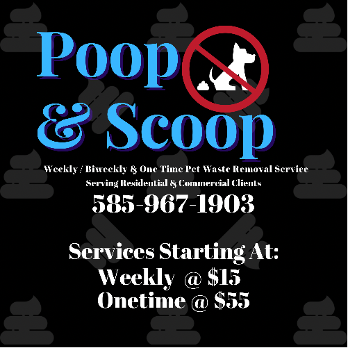 Poop & Scoop - Pet Waste Removal Service - Photo 3
