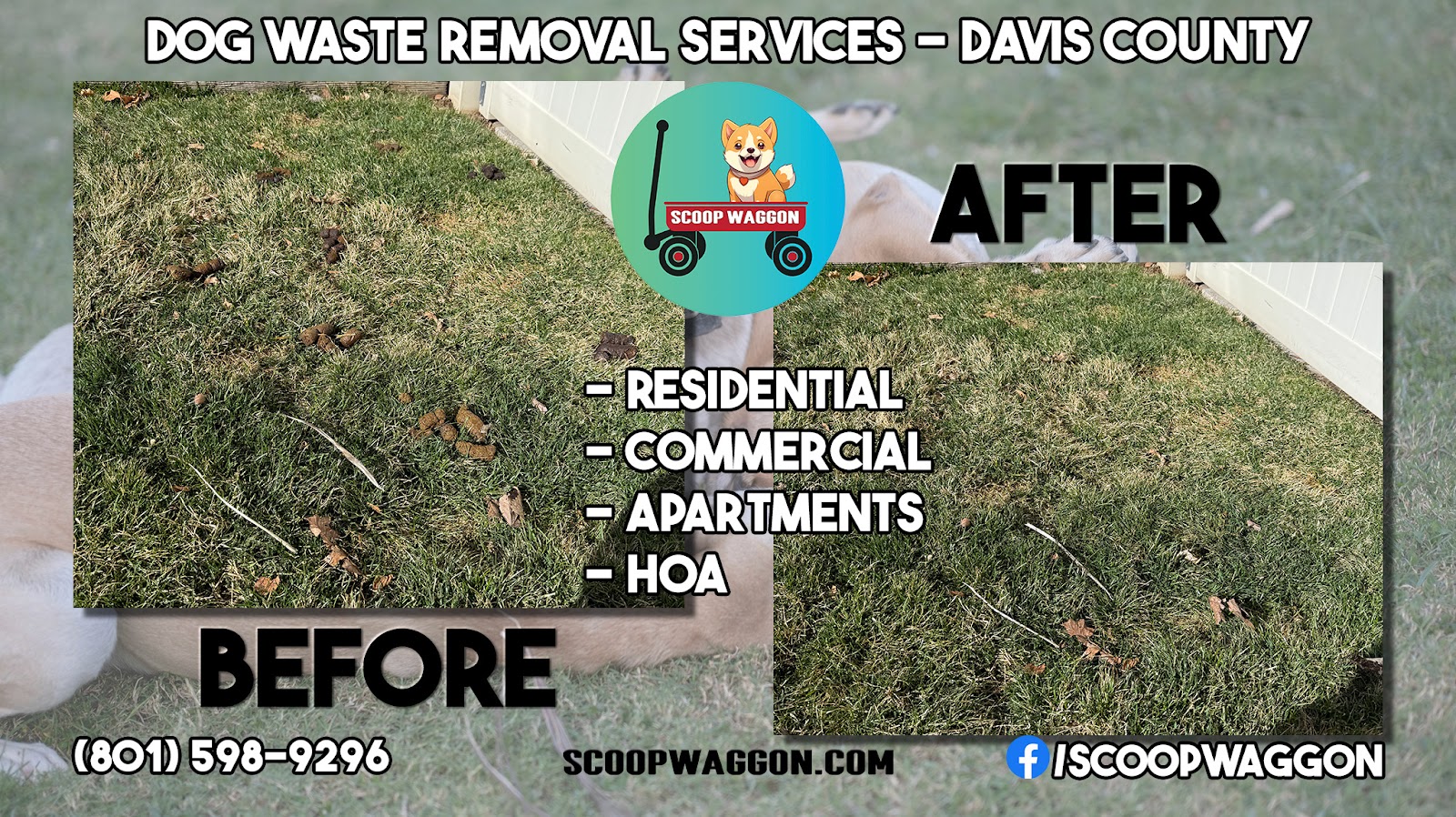 Scoop Waggon - Photo 2