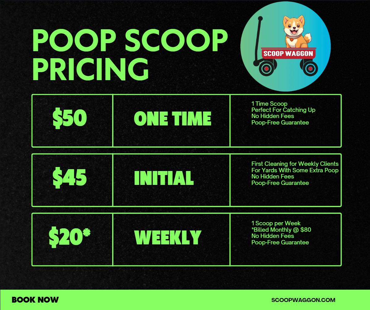 Scoop Waggon - Photo 4