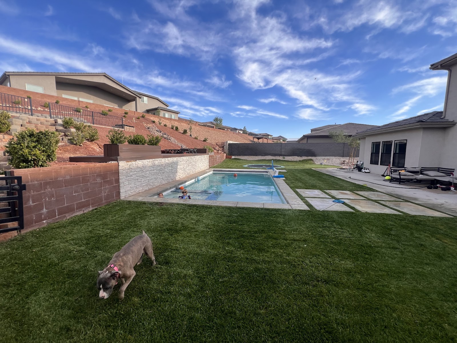 Scoopy Pet Waste Removal