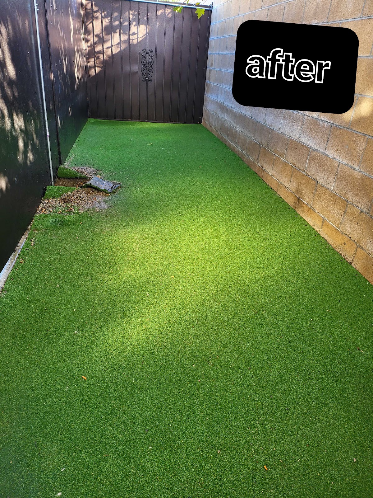 The Skoopers at A1 Pooper Scooper - Claremont - Photo 2