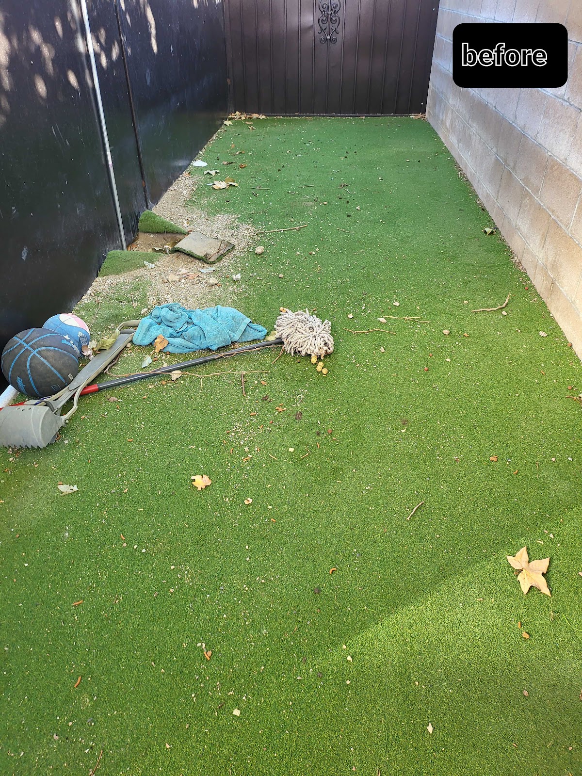 The Skoopers at A1 Pooper Scooper - Claremont - Photo 3