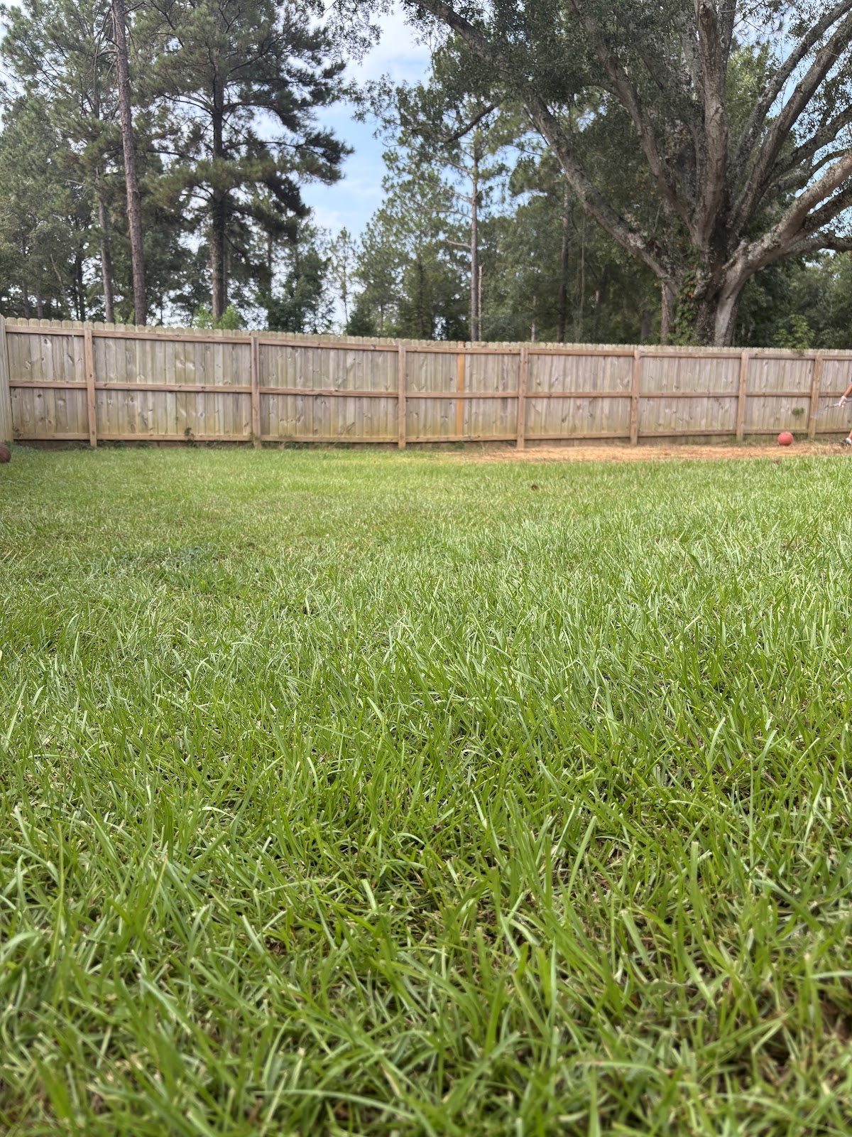 Extra Doody Dog Waste Removal Service