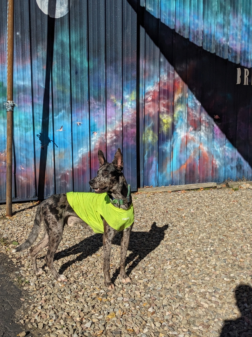 Tails N Turds - Photo 2