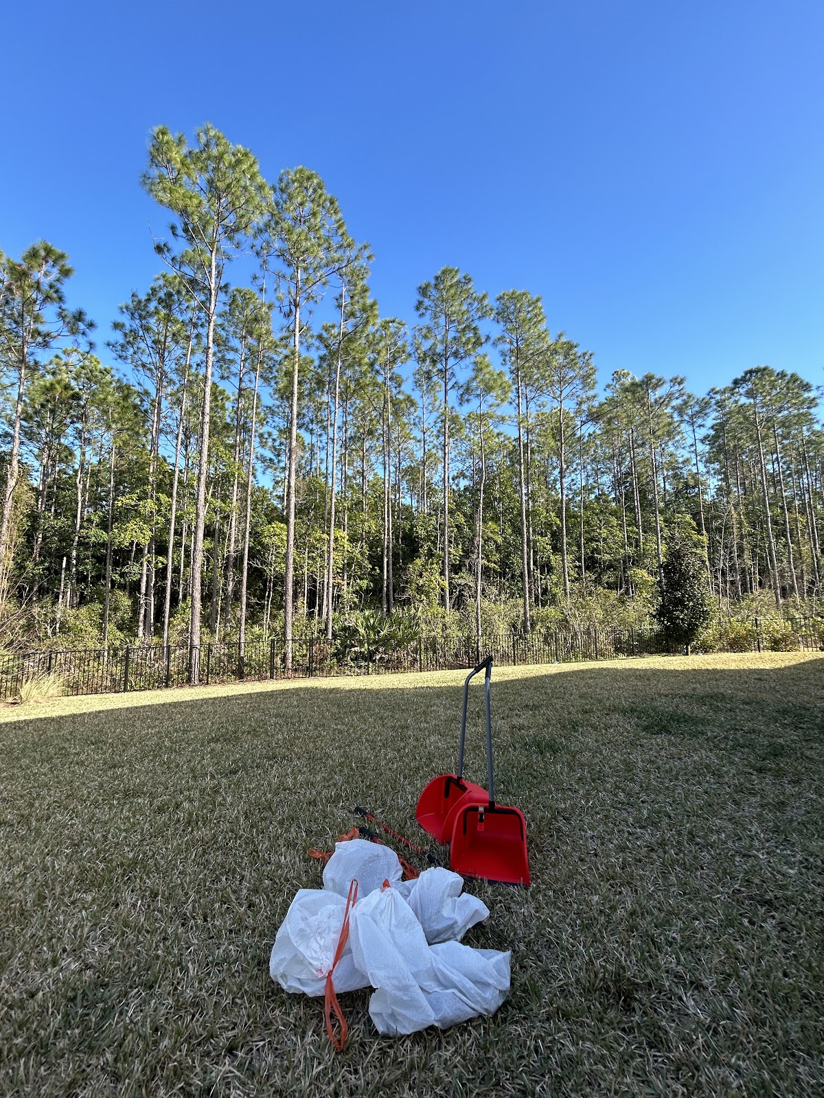 Scoopday - Jacksonville Dog Poop Scooper - Photo 4