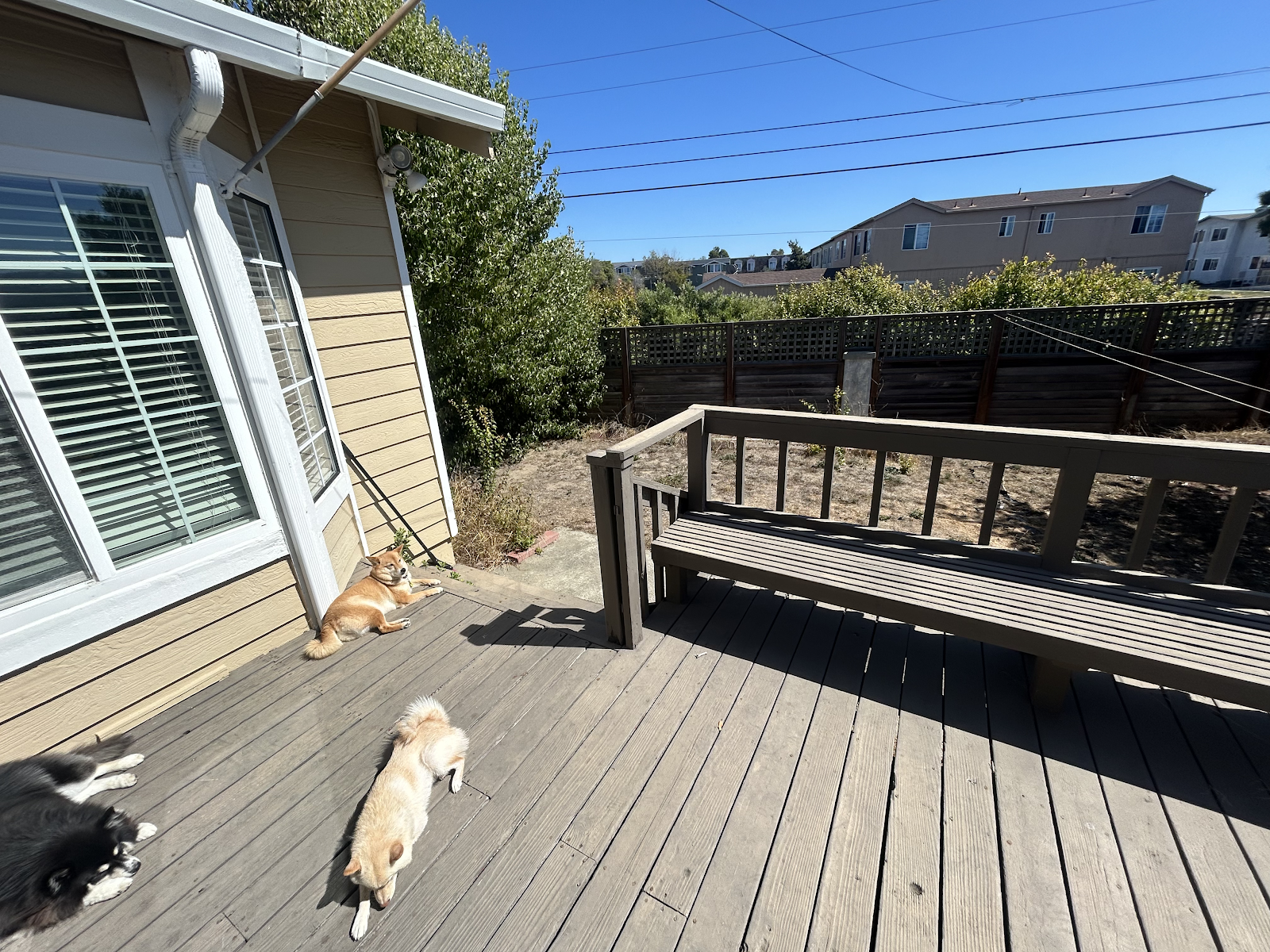 Royal Scoops Pet Waste Management - Photo 2