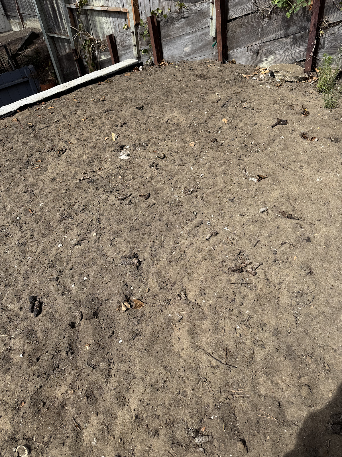 Royal Scoops Pet Waste Management - Photo 4