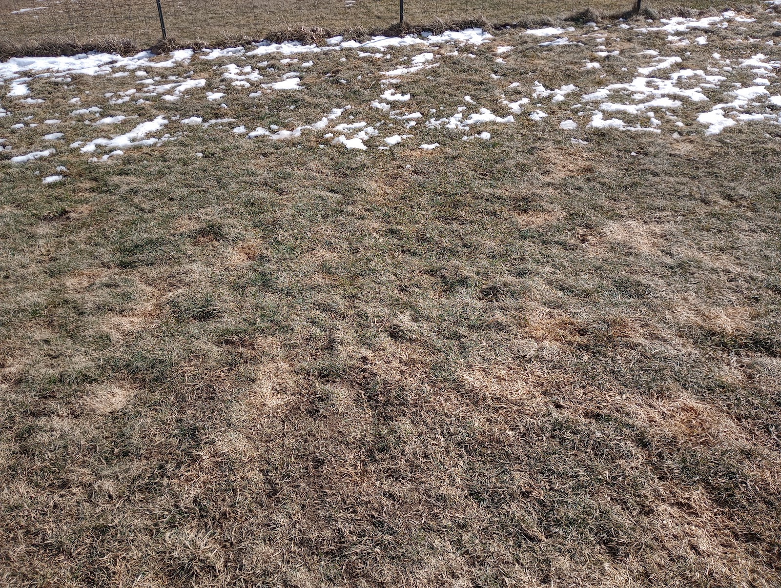 Good Dog Cleanup Crew