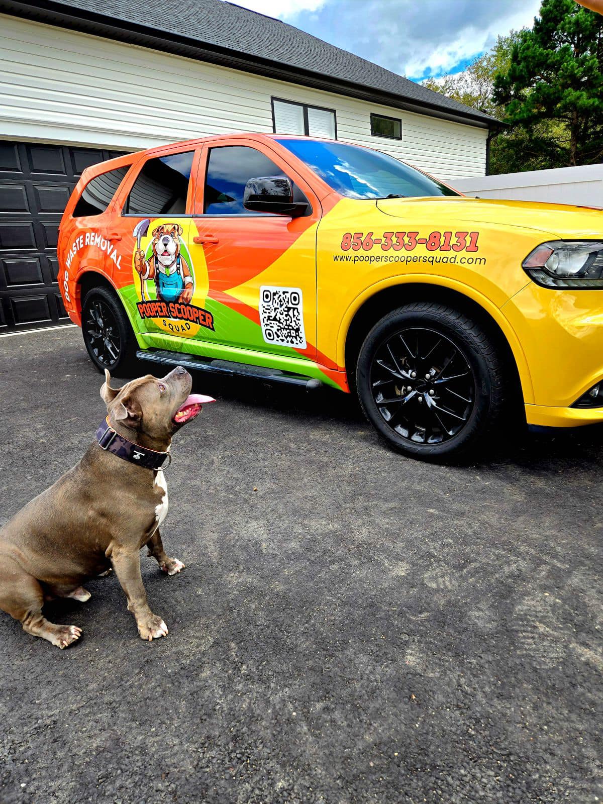 Pooper Scooper Squad